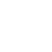 Portafolio Integral